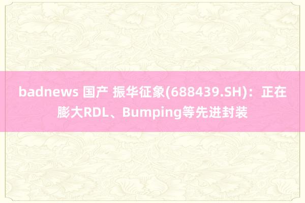 badnews 国产 振华征象(688439.SH)：正在膨大RDL、Bumping等先进封装