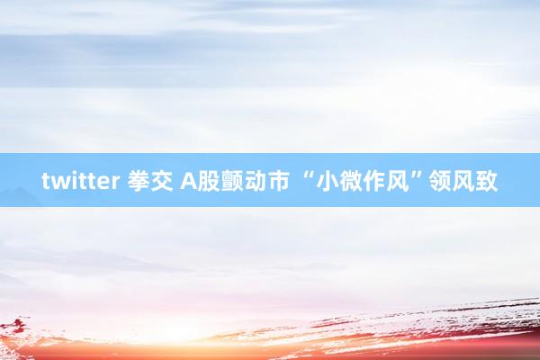 twitter 拳交 A股颤动市 “小微作风”领风致