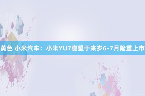 黄色 小米汽车：小米YU7瞻望于来岁6-7月隆重上市