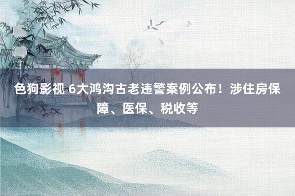 色狗影视 6大鸿沟古老违警案例公布！涉住房保障、医保、税收等