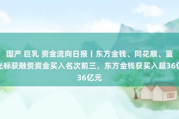 国产 巨乳 资金流向日报丨东方金钱、同花顺、蓝色光标获融资资金买入名次前三，东方金钱获买入超36亿元