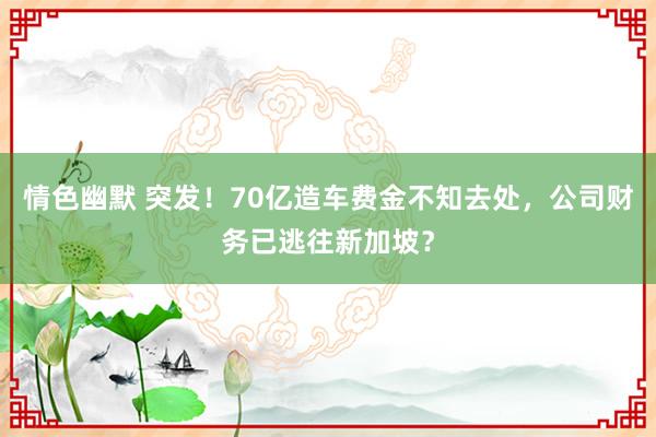 情色幽默 突发！70亿造车费金不知去处，公司财务已逃往新加坡？