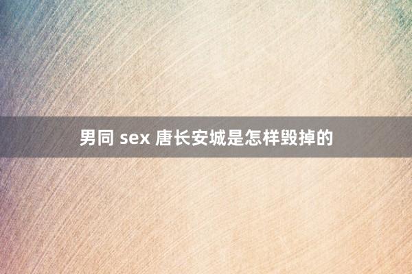 男同 sex 唐长安城是怎样毁掉的