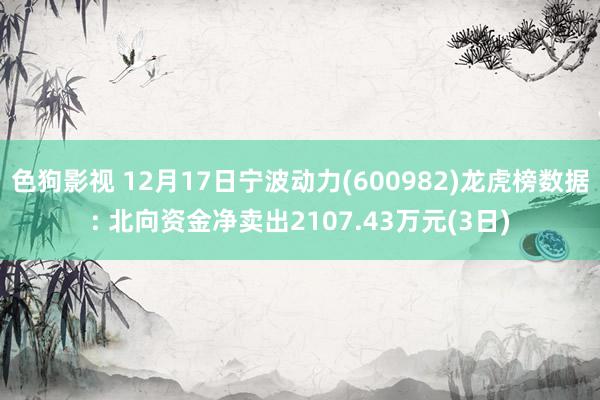 色狗影视 12月17日宁波动力(600982)龙虎榜数据: 北向资金净卖出2107.43万元(3日)