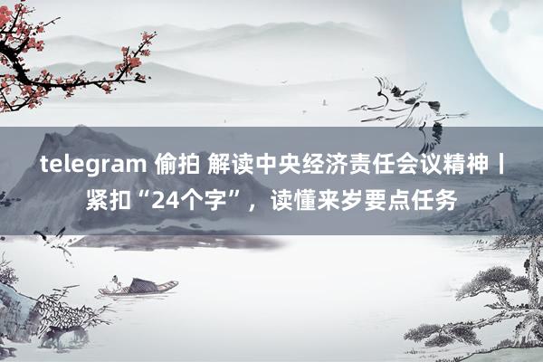 telegram 偷拍 解读中央经济责任会议精神丨紧扣“24个字”，读懂来岁要点任务