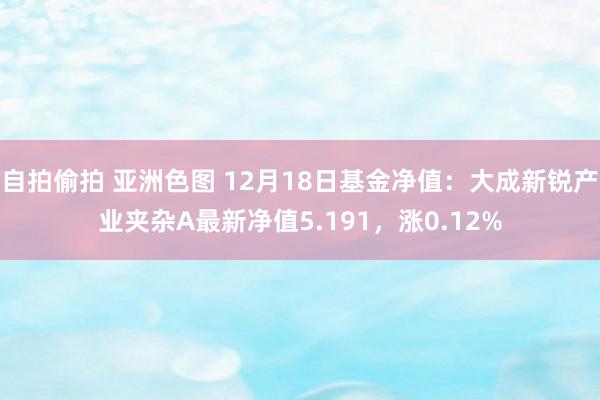 自拍偷拍 亚洲色图 12月18日基金净值：大成新锐产业夹杂A最新净值5.191，涨0.12%