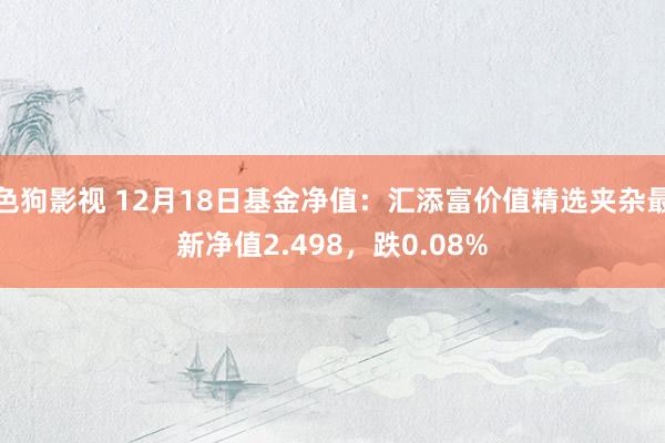 色狗影视 12月18日基金净值：汇添富价值精选夹杂最新净值2.498，跌0.08%