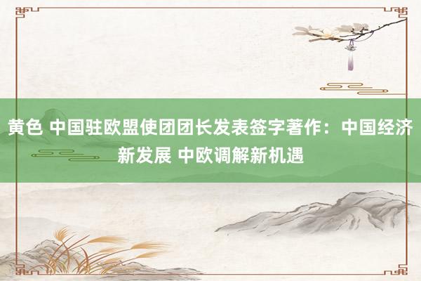 黄色 中国驻欧盟使团团长发表签字著作：中国经济新发展 中欧调解新机遇