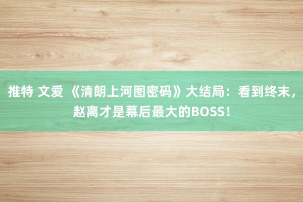 推特 文爱 《清朗上河图密码》大结局：看到终末，赵离才是幕后最大的BOSS！