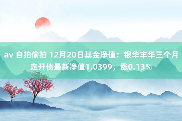 av 自拍偷拍 12月20日基金净值：银华丰华三个月定开债最新净值1.0399，涨0.13%