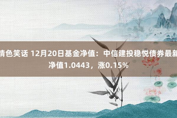 情色笑话 12月20日基金净值：中信建投稳悦债券最新净值1.0443，涨0.15%