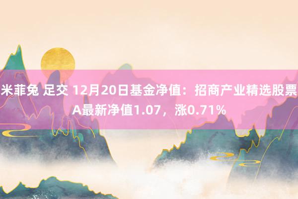 米菲兔 足交 12月20日基金净值：招商产业精选股票A最新净值1.07，涨0.71%