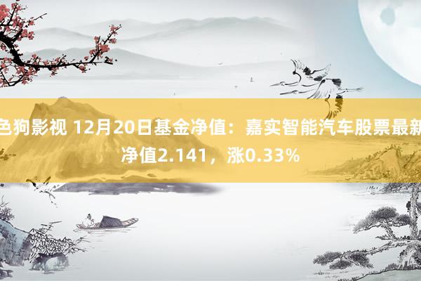 色狗影视 12月20日基金净值：嘉实智能汽车股票最新净值2.141，涨0.33%