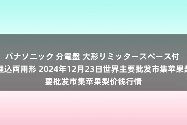 パナソニック 分電盤 大形リミッタースペース付 露出・半埋込両用形 2024年12月23日世界主要批发市集苹果梨价钱行情