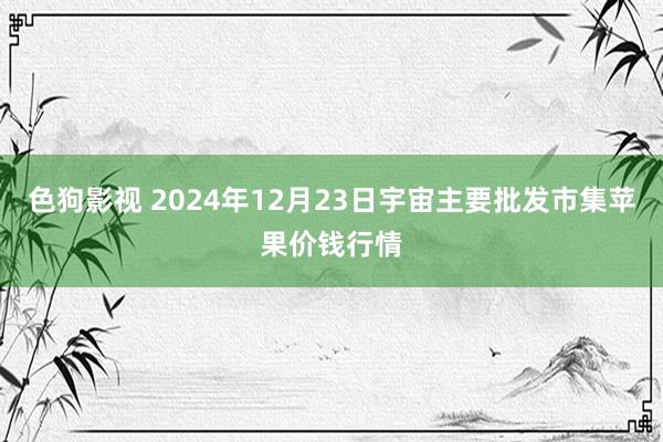 色狗影视 2024年12月23日宇宙主要批发市集苹果价钱行情