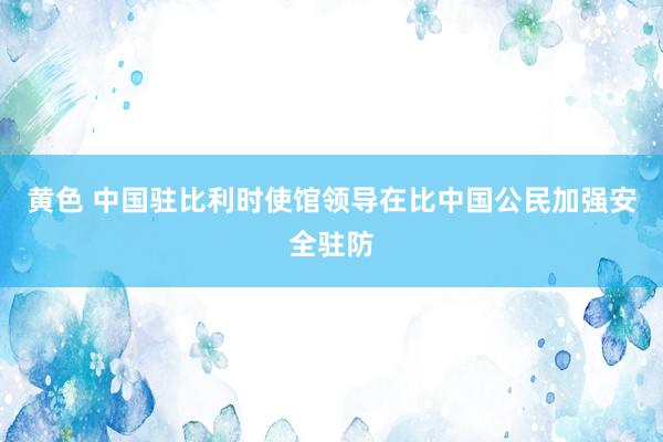 黄色 中国驻比利时使馆领导在比中国公民加强安全驻防