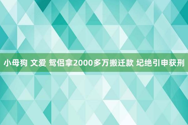 小母狗 文爱 鸳侣拿2000多万搬迁款 圮绝引申获刑