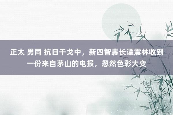 正太 男同 抗日干戈中，新四智囊长谭震林收到一份来自茅山的电报，忽然色彩大变