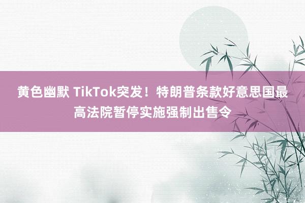 黄色幽默 TikTok突发！特朗普条款好意思国最高法院暂停实施强制出售令