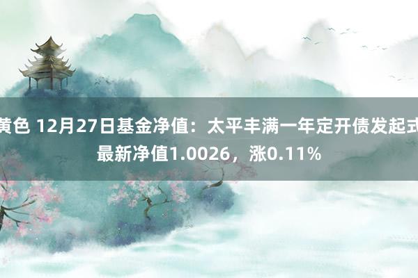 黄色 12月27日基金净值：太平丰满一年定开债发起式最新净值1.0026，涨0.11%