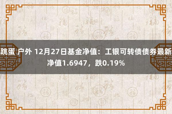 跳蛋 户外 12月27日基金净值：工银可转债债券最新净值1.6947，跌0.19%