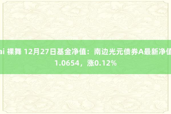 ai 裸舞 12月27日基金净值：南边光元债券A最新净值1.0654，涨0.12%