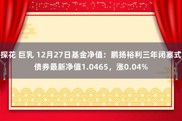 探花 巨乳 12月27日基金净值：鹏扬裕利三年闭塞式债券最新净值1.0465，涨0.04%