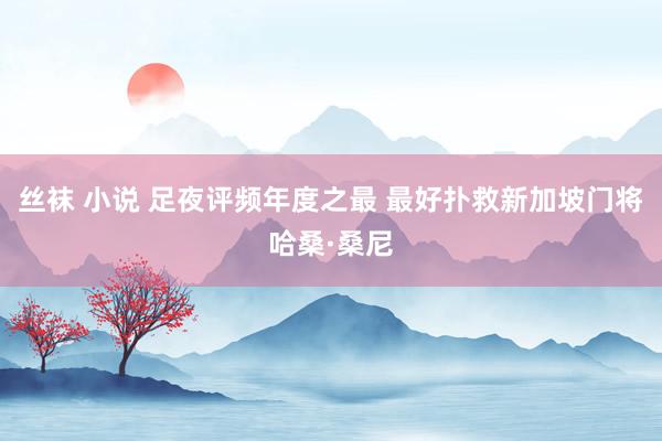 丝袜 小说 足夜评频年度之最 最好扑救新加坡门将哈桑·桑尼