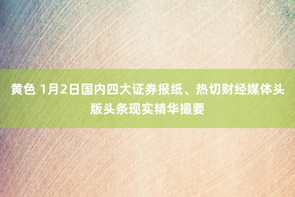 黄色 1月2日国内四大证券报纸、热切财经媒体头版头条现实精华撮要