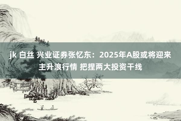 jk 白丝 兴业证券张忆东：2025年A股或将迎来主升浪行情 把捏两大投资干线