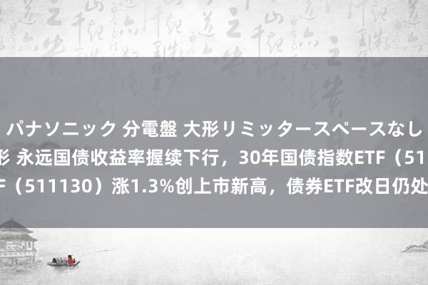 パナソニック 分電盤 大形リミッタースペースなし 露出・半埋込両用形 永远国债收益率握续下行，30年国债指数ETF（511130）涨1.3%创上市新高，债券ETF改日仍处在高速发展阶段