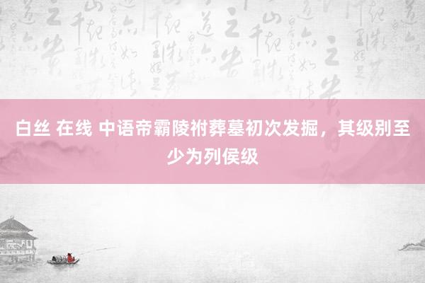 白丝 在线 中语帝霸陵祔葬墓初次发掘，其级别至少为列侯级