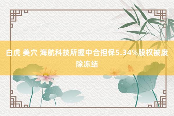 白虎 美穴 海航科技所握中合担保5.34%股权被废除冻结