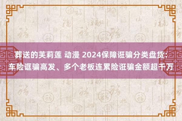 葬送的芙莉莲 动漫 2024保障诳骗分类盘货：车险诓骗高发、多个老板连累险诳骗金额超千万