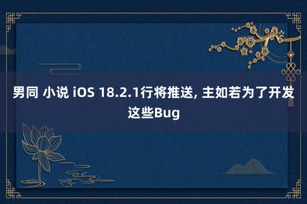 男同 小说 iOS 18.2.1行将推送， 主如若为了开发这些Bug