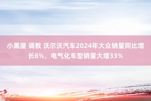 小黑屋 调教 沃尔沃汽车2024年大众销量同比增长8%，电气化车型销量大增33%