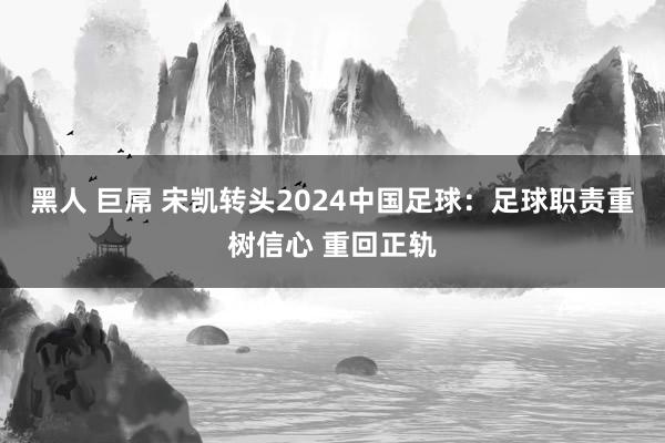 黑人 巨屌 宋凯转头2024中国足球：足球职责重树信心 重回正轨