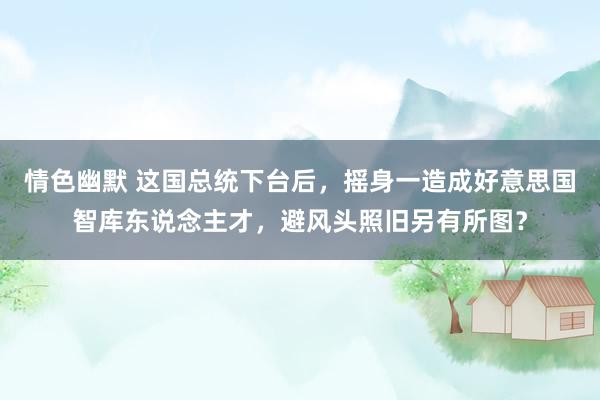 情色幽默 这国总统下台后，摇身一造成好意思国智库东说念主才，避风头照旧另有所图？