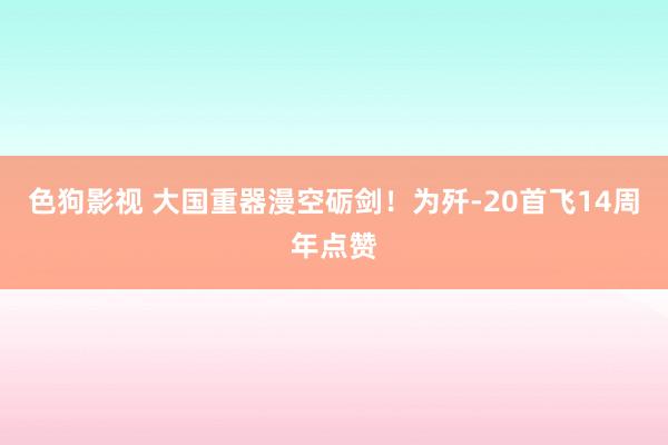 色狗影视 大国重器漫空砺剑！为歼-20首飞14周年点赞