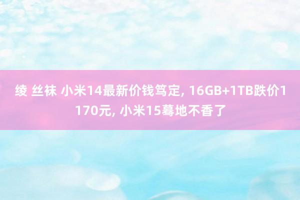 绫 丝袜 小米14最新价钱笃定， 16GB+1TB跌价1170元， 小米15蓦地不香了