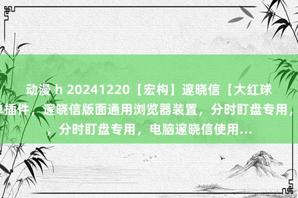 动漫 h 20241220【宏构】邃晓信【大红球/大红圈】分时大单插件，邃晓信版面通用浏览器装置，分时盯盘专用，电脑邃晓信使用...