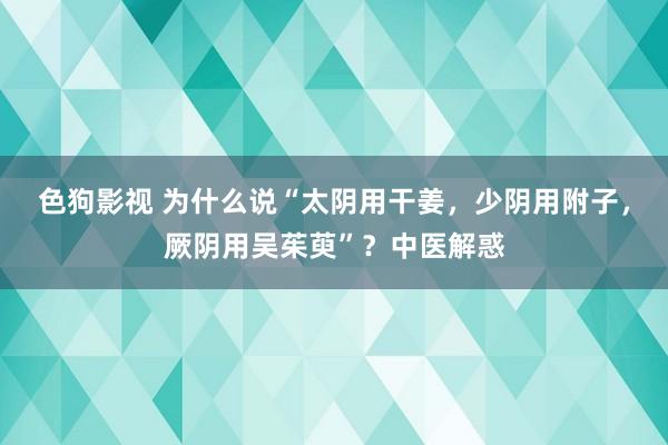 色狗影视 为什么说“太阴用干姜，少阴用附子，厥阴用吴茱萸”？中医解惑