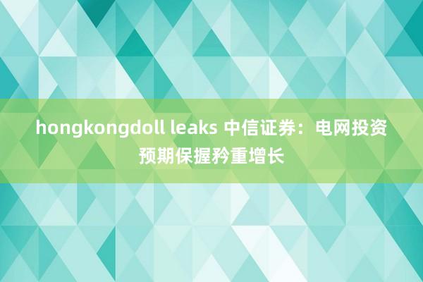 hongkongdoll leaks 中信证券：电网投资预期保握矜重增长