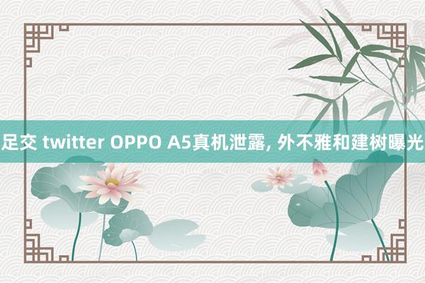 足交 twitter OPPO A5真机泄露， 外不雅和建树曝光